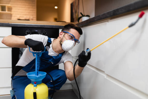 Best Affordable Pest Control Services  in Cordova, AL