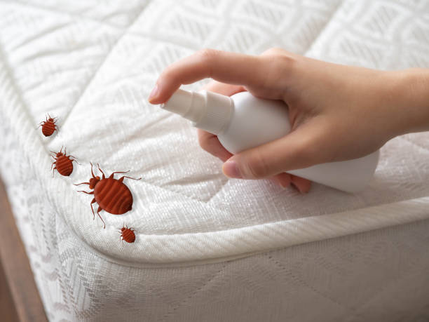 Best Pest Control Near Me  in Cordova, AL